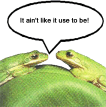 Frogs Frogs