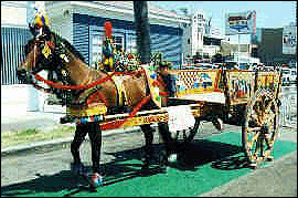 Sicilian Cart