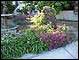 Front Yard #2