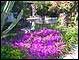 Front Yard #1