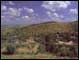 Vineyard